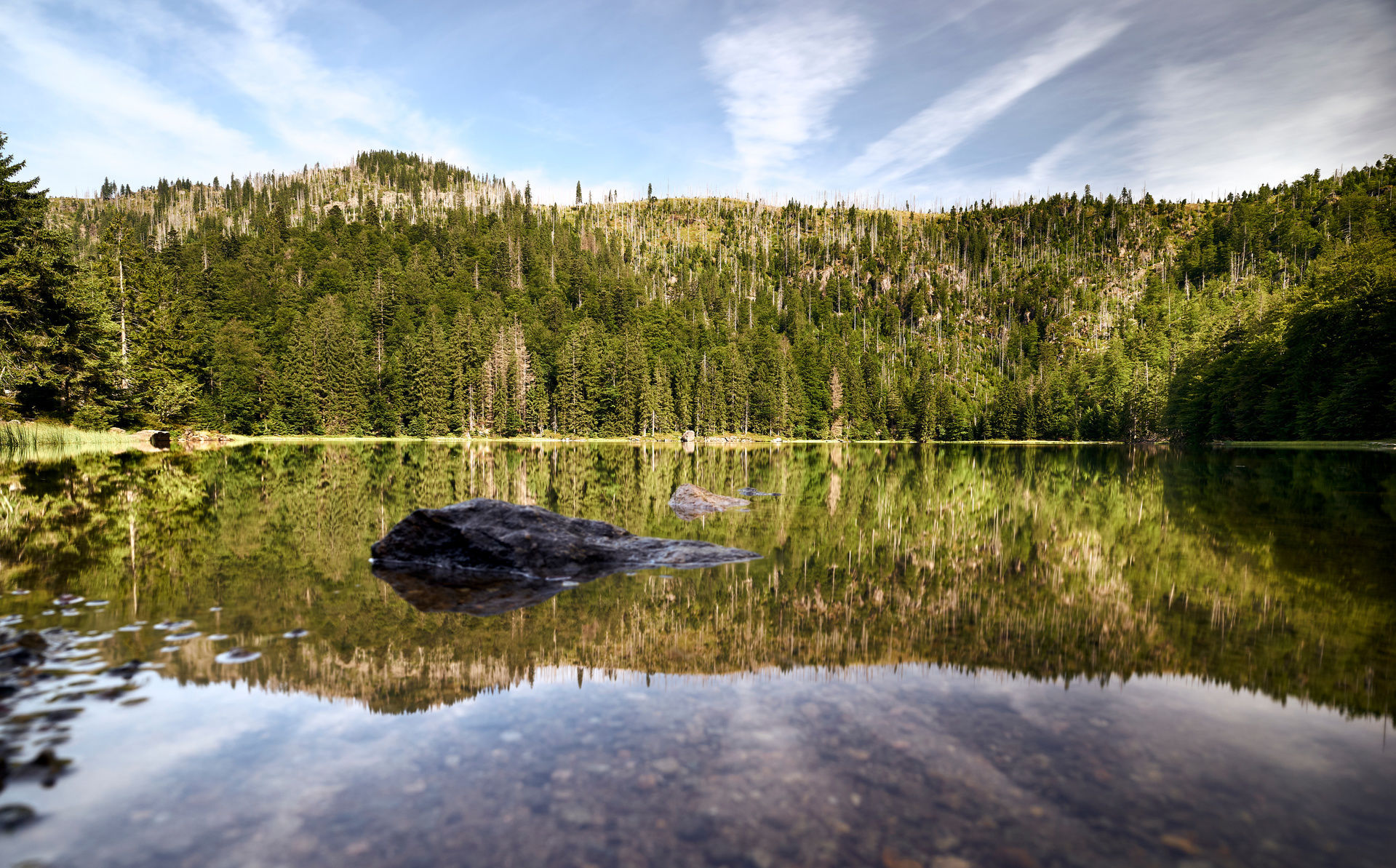 Bayerwald Berge Nationalpark Bayerischer Wald Wandern Bayerwald Berge Nationalpark Bayerischer Wald Wandern