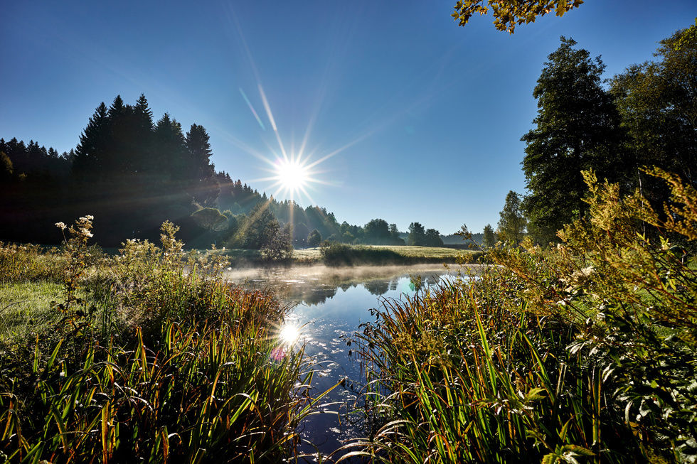 Bayerischer Wald