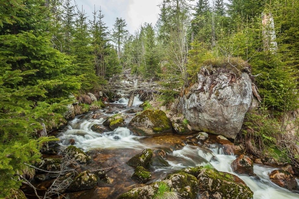 Nationalpark Bayerischer Wald