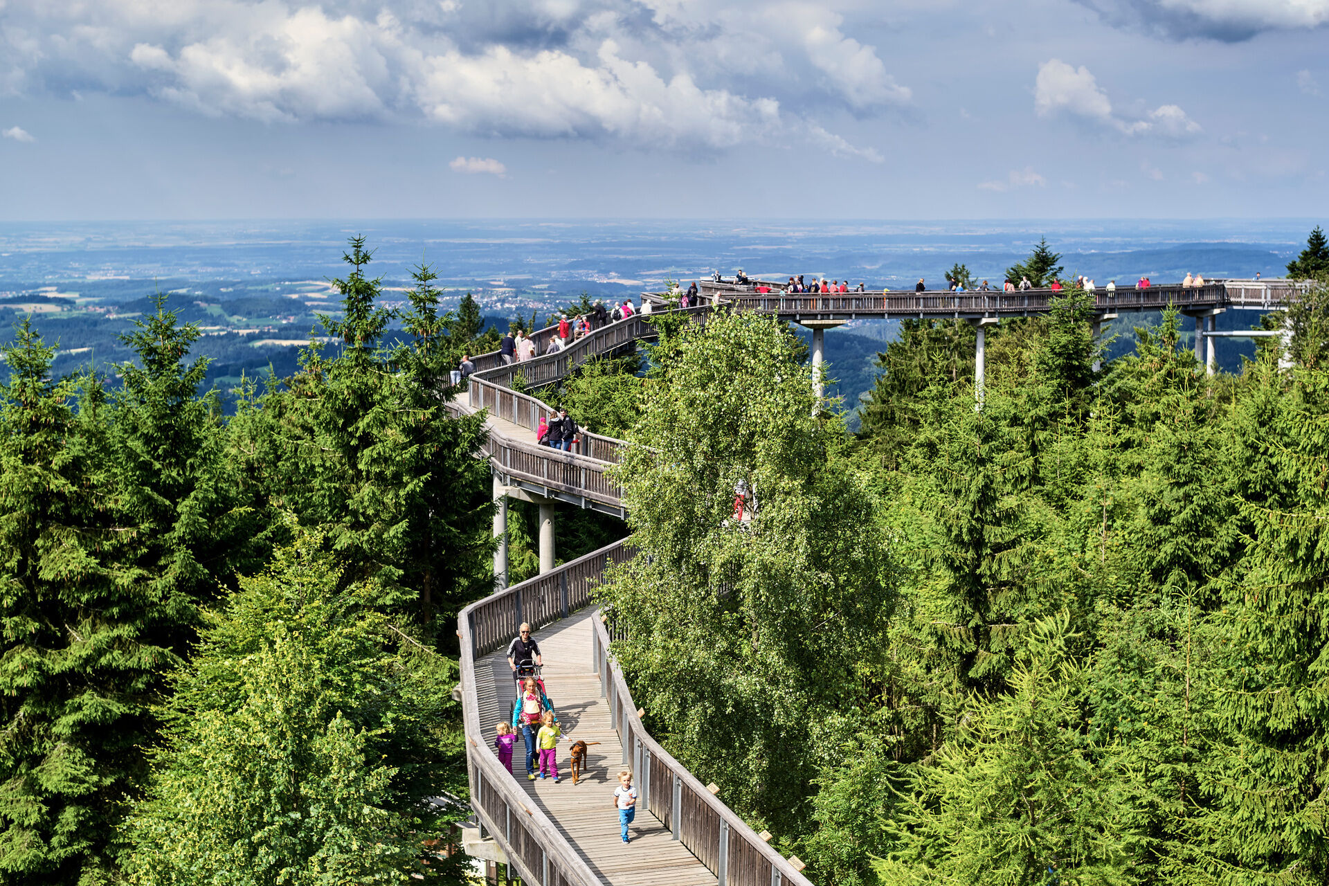 Gut besuchter Waldwipfelweg mit Blick auf die weiter Bayerwald-Landschaft