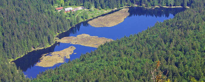 See im Bayerischen Wald