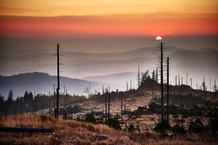 Unberührte Landschaft des Nationalpark Bayerischer Wald bei Sonnenuntergang